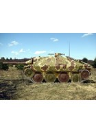 Hetzer and Panzer IV/70 (V) in Color